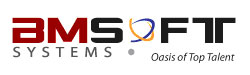 BM Soft Systems